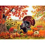 Turkey Pumpkin