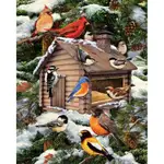 Winter Birds Nest