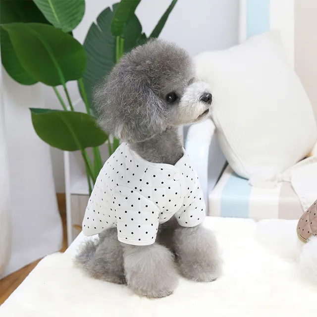 Pet Matcha Two leg Cotton Clothing White - Shop at LoveMi