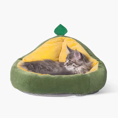 Warm Winter Small Kennel For Cats And Dogs Green - Shop at LoveMi