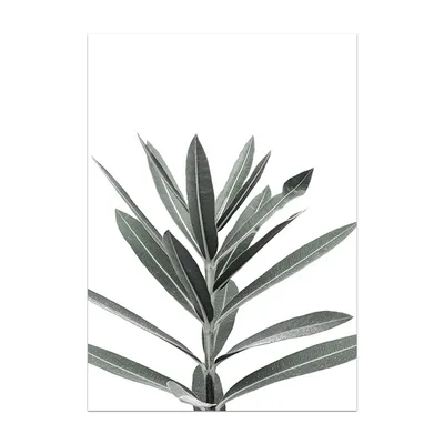 Nordic Small Plant Decoration Painting Canvas Painting 3Style - Shop at LoveMi