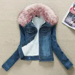 Dark Blue Pink Fur Collar