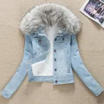 Light Blue Gray Fur Collar