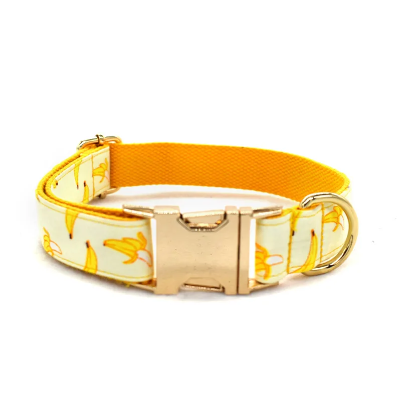 Tow Rope Collar Pet Supplies Gold Metal Buckle Yellow - Shop at LoveMi