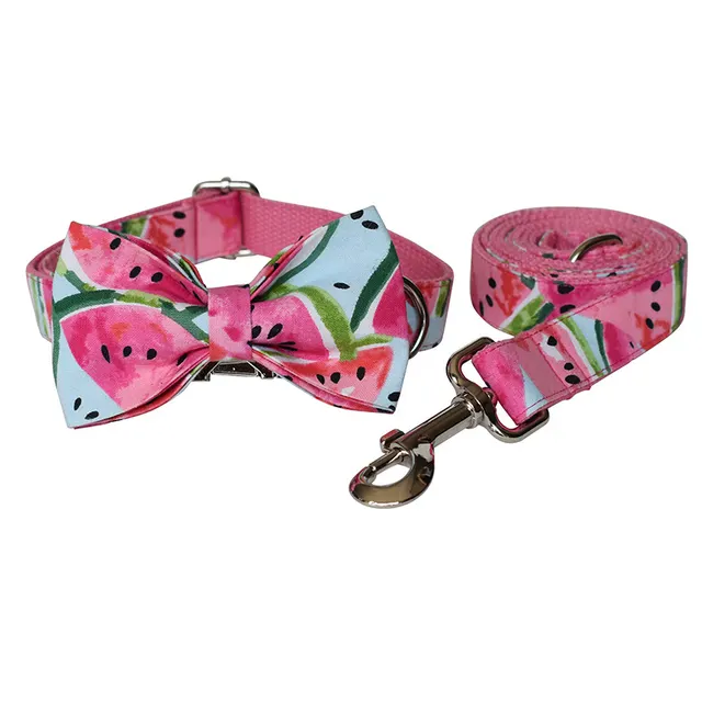Pet Supplies Dog Collar Pet Leash Bow Set - Shop at LoveMi
