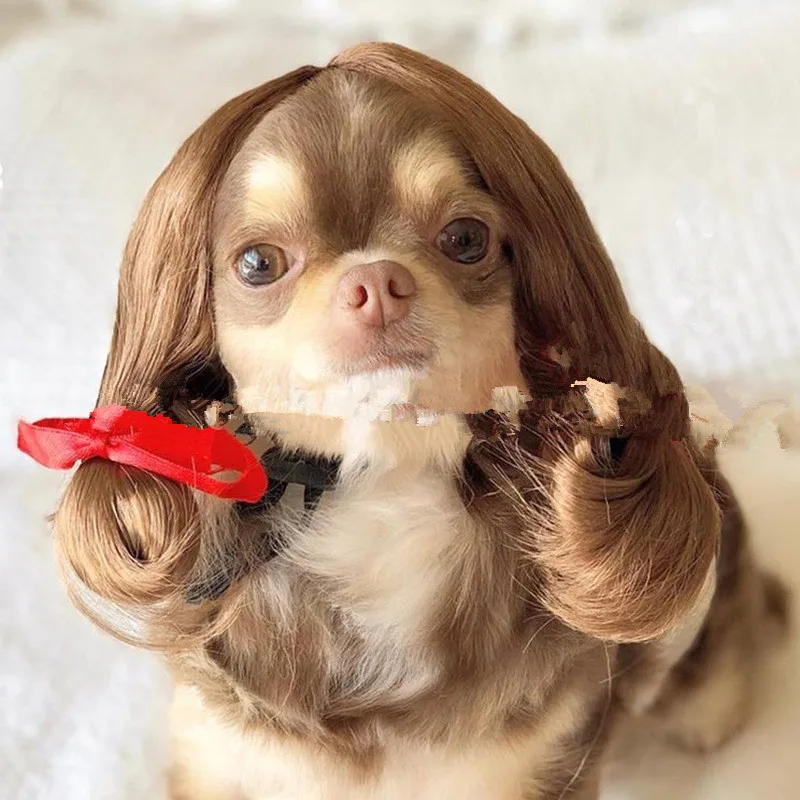 Pet Wig Afro Head Bangs Pigtail Brown Gold - Shop at LoveMi