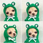 Green Frog