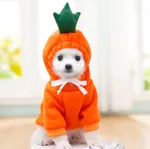 Orange Carrot
