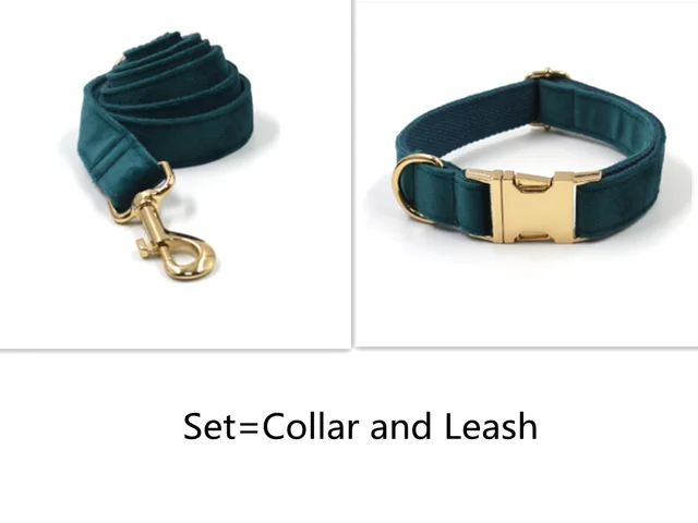 Sapphire Green Velvet Gold Buckle Hardware Pet Collar Leash Set - Shop at LoveMi