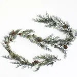 Pine Branches And Pine Cones