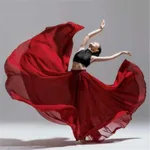 Classical Dance Costume Female Elegant Performance Costume Half-length Skirt - Wine