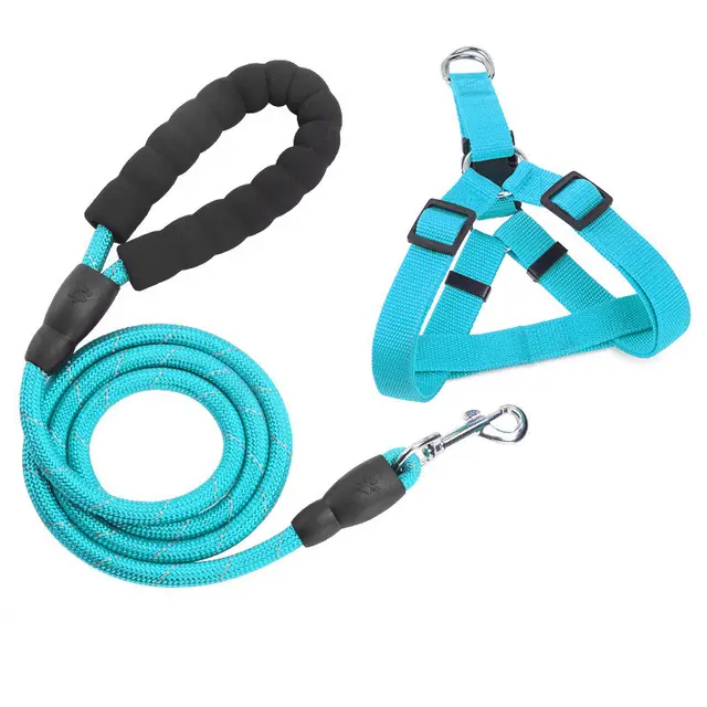 EVA Reflective Pet Dog Leash Collar Set 1.5M Blue - Shop at LoveMi