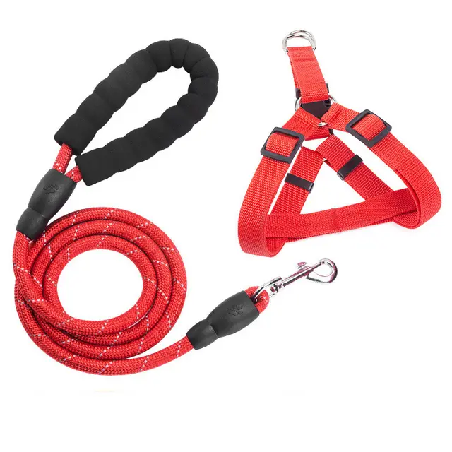 EVA Reflective Pet Dog Leash Collar Set 1.5M Red - Shop at LoveMi