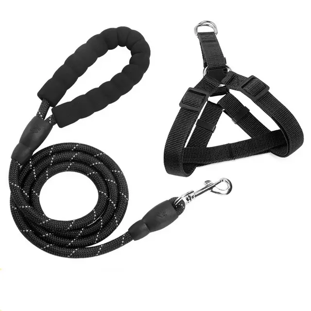 EVA Reflective Pet Dog Leash Collar Set 2M Black - Shop at LoveMi