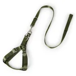 Armygreen