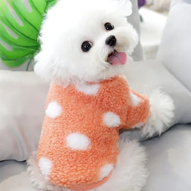 Cat Pet Teddy Bichon Pomeranian Schnauzer Yorkshire Small Poodle Dog Clothes Style1 - Shop at LoveMi