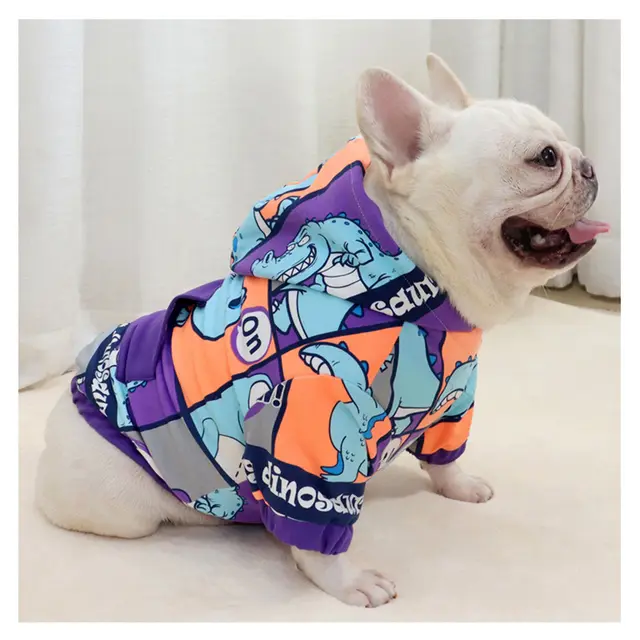 Fadou Plus Velvet Sweater Hooded Cartoon Little Dinosaur Keeps Warm Purple Little Dinosaur - Shop at LoveMi