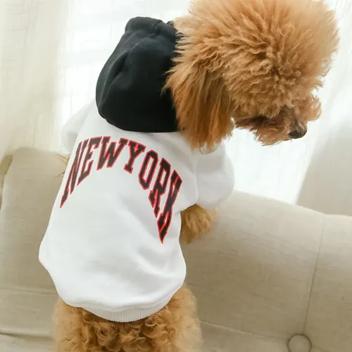 Pet Terry Cotton Casual Hooded Letter Sweatshirt White - Shop at LoveMi
