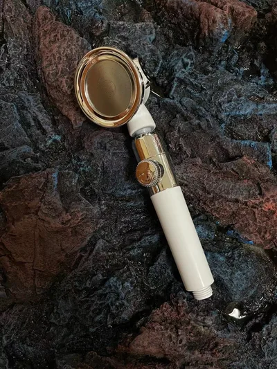 Shower Filter Pressurized Hand Shower 2Style - Shop at LoveMi