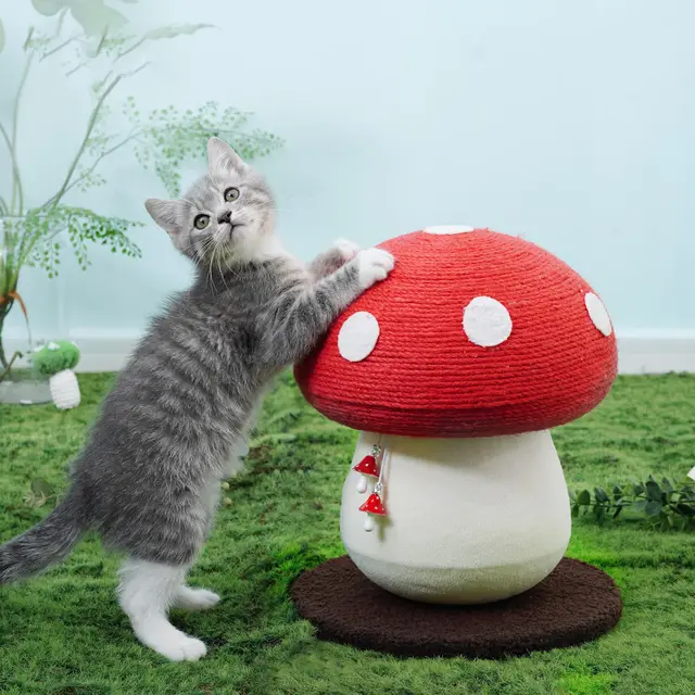 Multifunctional Self Healing Cat Toy Red - Shop at LoveMi