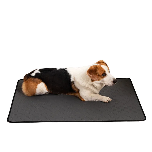 Repeated Water Absorption Training For Pet Changing Pads Grey - Shop at LoveMi