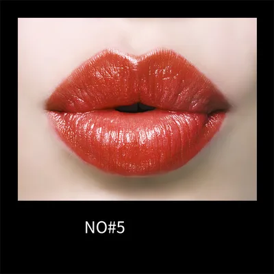 Gentle Moisturizing And Charming Lip Makeup Lipstick No5 Rotten Tomato Color - Shop at LoveMi
