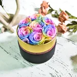 Colorful