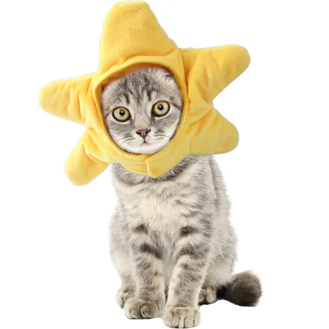 Teddy Dress Up Flower Headgear Cat Headgear Pet Supplies Yellow Starfish - Shop at LoveMi