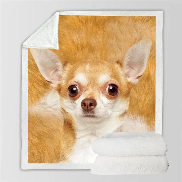 3d Double sided Flannel Blanket Siesta Air Conditioning Blanket 42Style - Shop at LoveMi