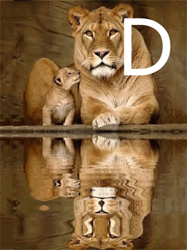 5D Diamond Embroidery Lion Animal CrossStitch - Shop at LoveMi