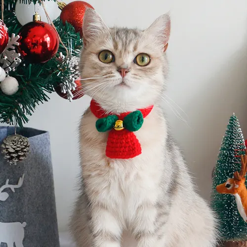 Teddy British Short Christmas Scarf 1 Style - Shop at LoveMi