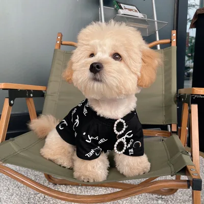 Cat Glasses Pet Dog Pearl Sunglasses Photo Color - Shop at LoveMi