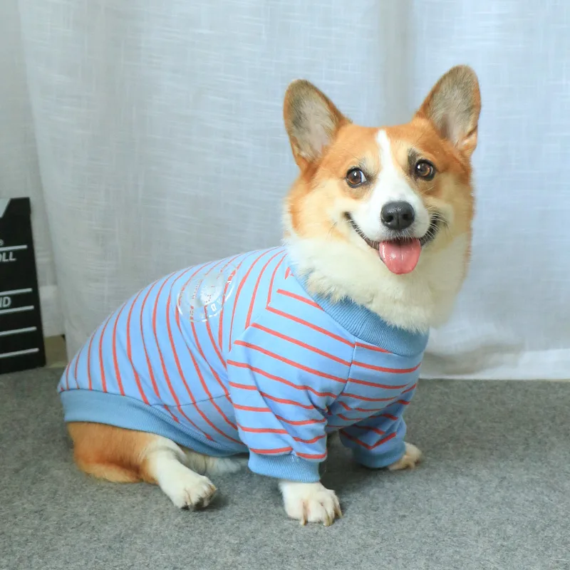 Dog Clothes Sweater New Pet Owner Parent-child Wear - Blue Stripes