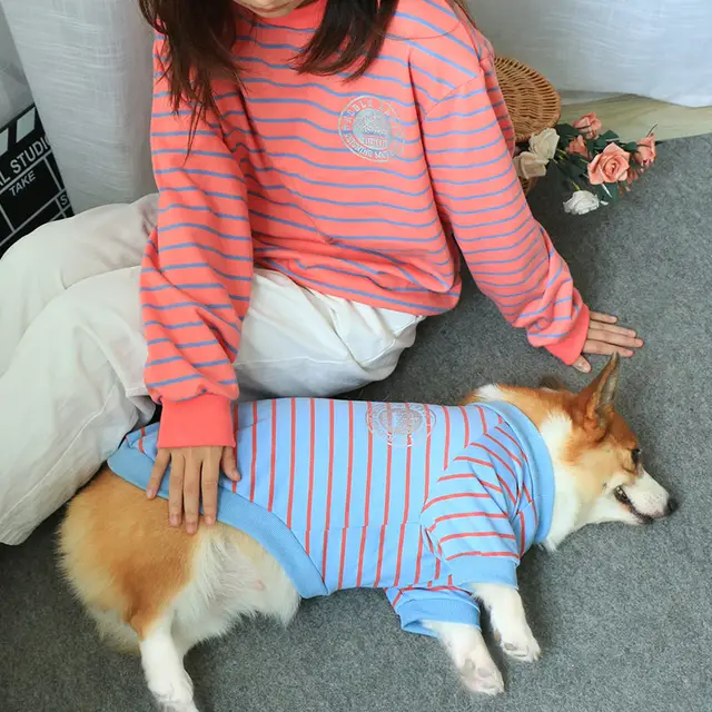 Dog Clothes Sweater New Pet Owner Parent child Wear Dog Blue Master Pink - Shop at LoveMi