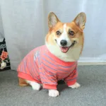 Pink Stripes