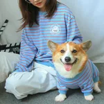 Suit Blue Stripes
