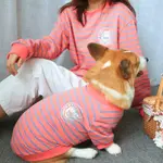 Suit Pink Stripes