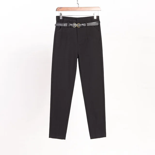 Autumn And Winter Plus Velvet Casual Harem Pants Black - Shop at LoveMi