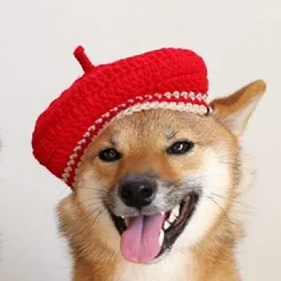 DIY Mini Mixed Color Hand knitted Beret Cute Pet Red - Shop at LoveMi