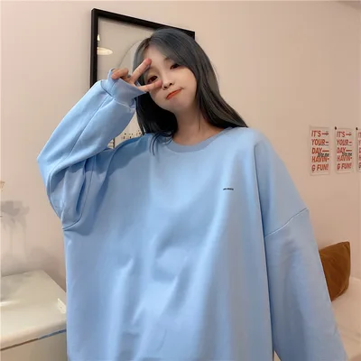 Dinosaur Embroidery Sweater Women Loose Large Size Long sleeved Round Neck Casual Top Blue - Shop at LoveMi