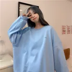 Dinosaur Embroidery Sweater Women Loose Large Size Long-sleeved Round Neck Casual Top - Blue
