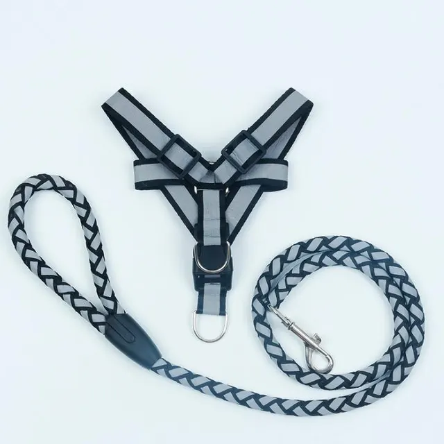 Reflective Nylon Braided Pet Leash Harness Set Black - Shop at LoveMi