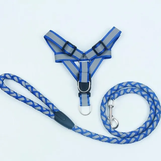 Reflective Nylon Braided Pet Leash Harness Set Blue - Shop at LoveMi