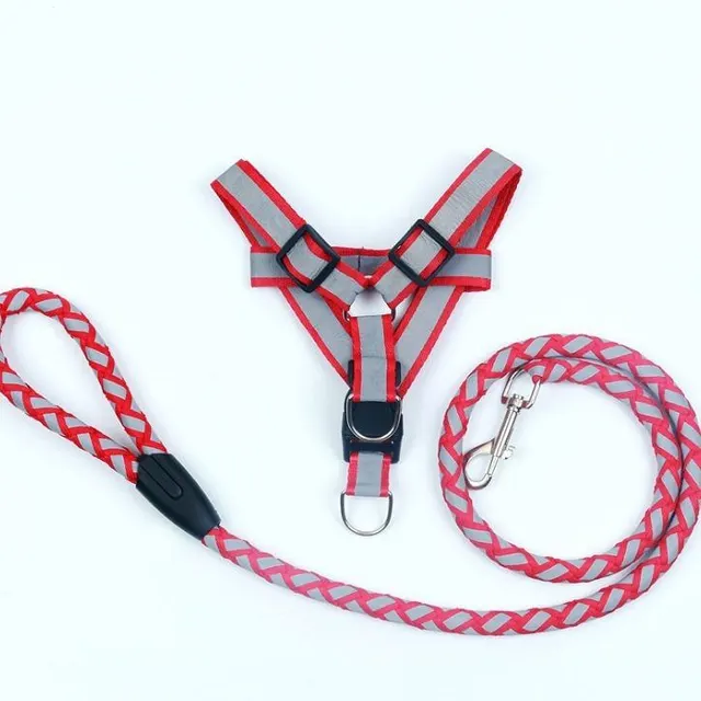 Reflective Nylon Braided Pet Leash Harness Set Red - Shop at LoveMi