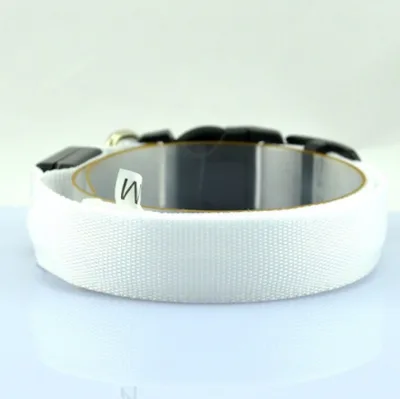 Pet Supplies Dog Luminous Collar Luminous Collar Fluorescence White - Shop at LoveMi