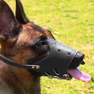 Anti bite And Barking Anti eating Mask Mouth Cover For Medium And Large Dogs Black - Shop at LoveMi