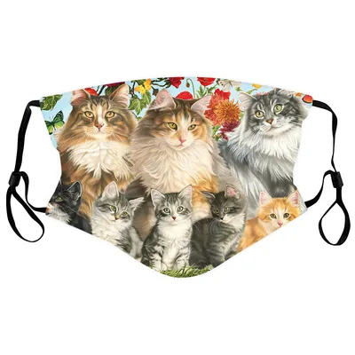 New Style Cotton Mask Cute Cartoon Dustproof And Warm Adult 3Color - Shop at LoveMi