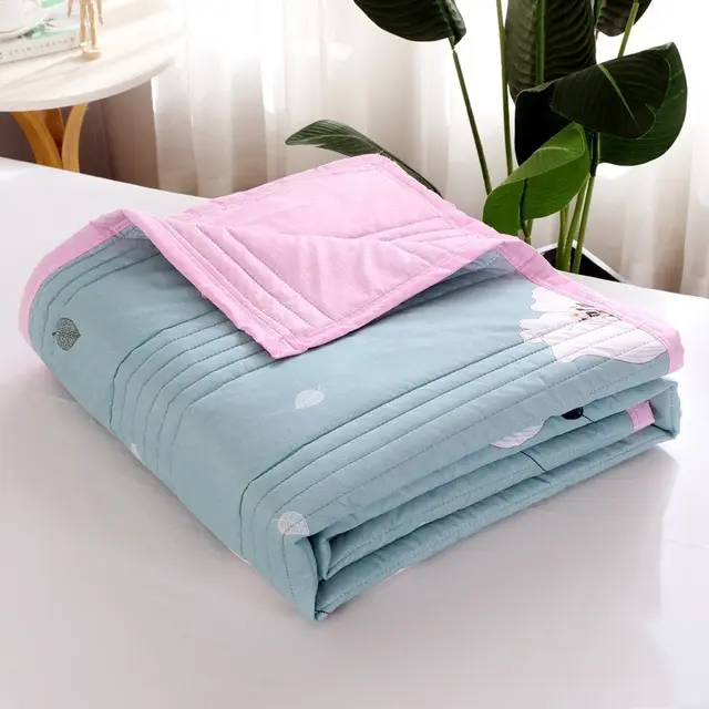 Thicken Blanket For Spring Autumn And Summer Dual use For Children And Adults - Shop at LoveMi