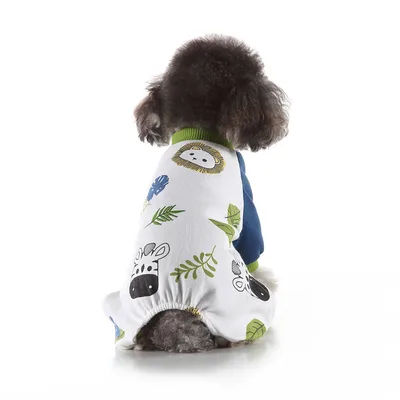 Pet Clothes Autumn And Winter At Home Blue Lion - Shop at LoveMi