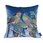 Blue Pillow